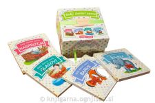 BOŽJI DAROVI ZAME - 4 kartonke v škatli BOŽJI DAROVI ZAME - 4 kartonke v škatli