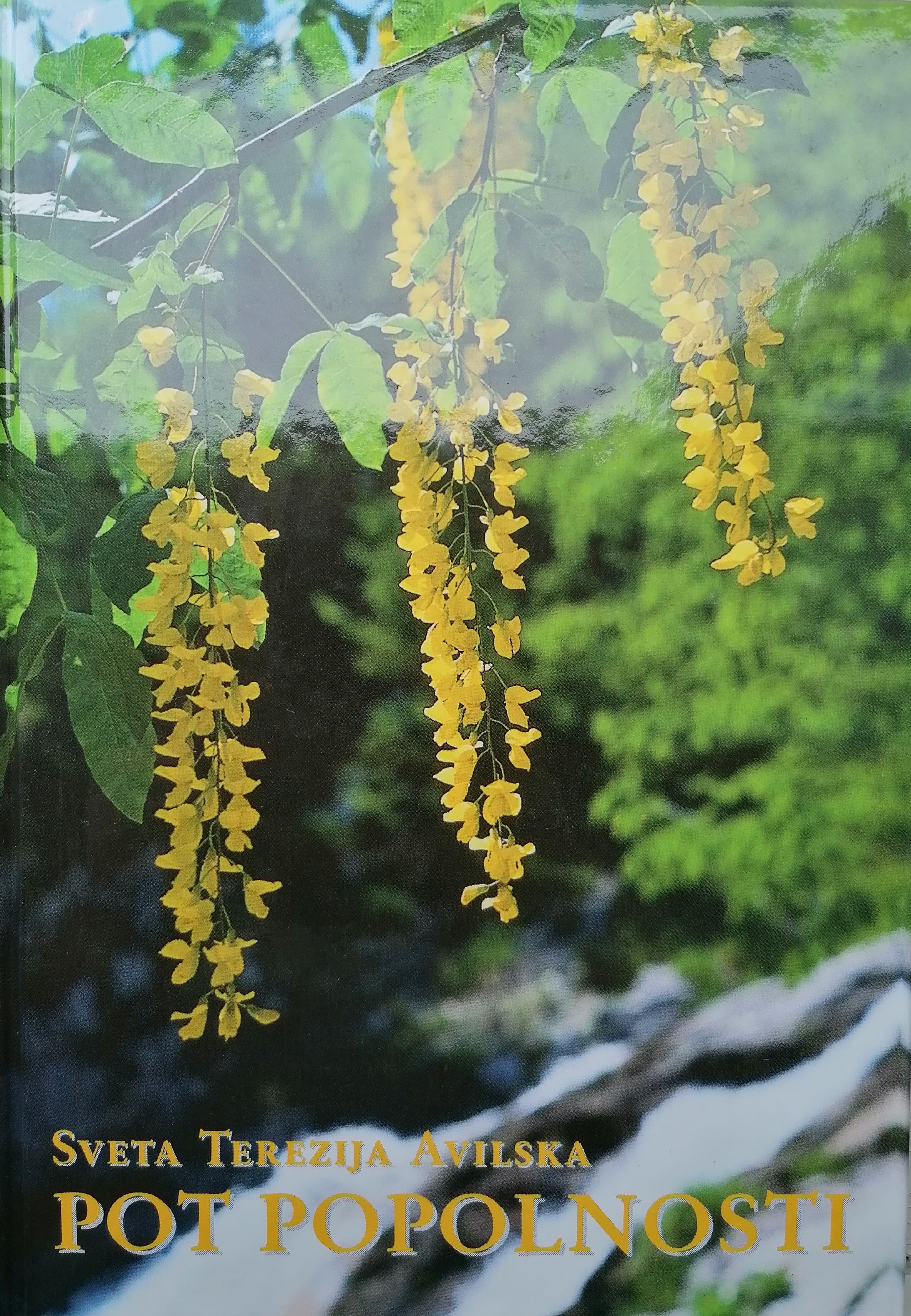 POT POPOLNOSTI POT POPOLNOSTI